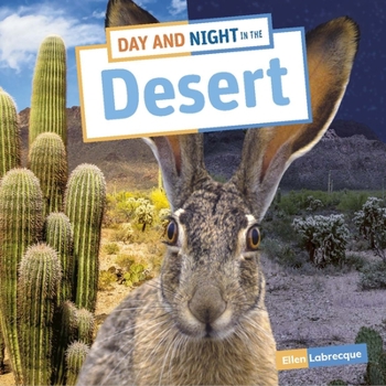 Paperback Day and Night in the Desert Book