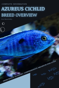 Azureus Cichlid: From Novice to Expert. Comprehensive Aquarium Fish Guide