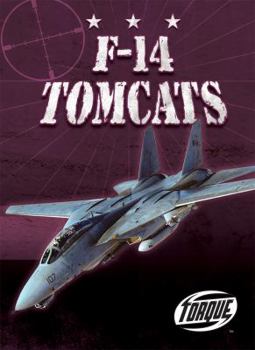 Library Binding F-14 Tomcats Book