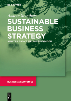 Paperback Sustainable Business Strategy: Analysis, Choice and Implementation Book