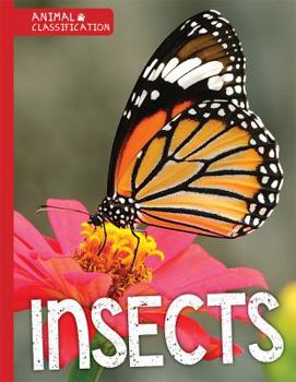 Paperback Insects Book