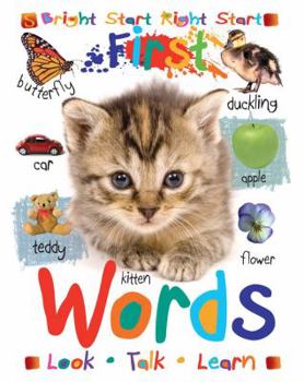 Board book First Words Book