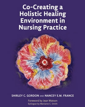 Paperback Co-Creating a Holistic Healing Environment in Nursing Practice Book