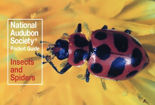 Paperback National Audubon Society Pocket Guide: Insects and Spiders Book