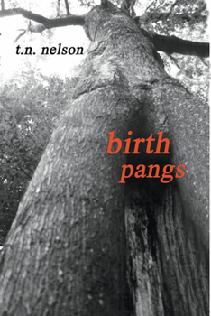 Paperback Birth Pangs Book