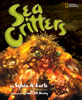 Paperback Sea Critters Book