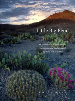 Little Big Bend: Common, Uncommon, and Rare Plants of Big Bend National Park (Grover E. Murrray Studies in the American Southwest) (Grover E. Murrray Studies in the American Southwest) - Book  of the Grover E. Murray Studies in the American Southwest