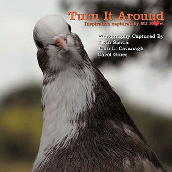 Paperback Turn It Around Book