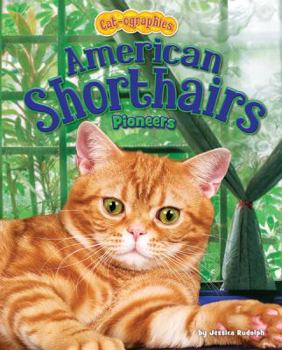American Shorthairs: Pioneers - Book  of the Cat-ographies