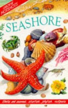 Paperback Usborne Hotshots Seashore (Hotshot Series) Book