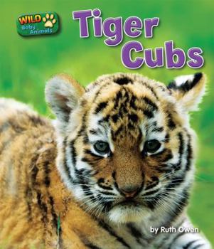Tiger Cubs - Book  of the Wild Baby Animals