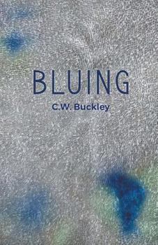 Paperback Bluing Book