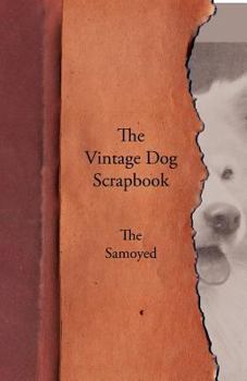 Paperback The Vintage Dog Scrapbook - The Samoyed Book