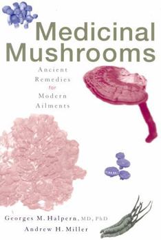 Paperback Medicinal Mushrooms: Ancient Remedies for Modern Ailments Book