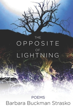 Paperback The Opposite of Lightning Book