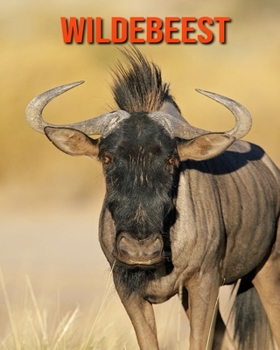 Paperback Wildebeest: Amazing Facts about Wildebeest Book