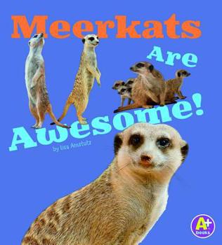 Meerkats Are Awesome! - Book  of the Awesome African Animals