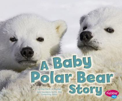 Hardcover A Baby Polar Bear Story Book