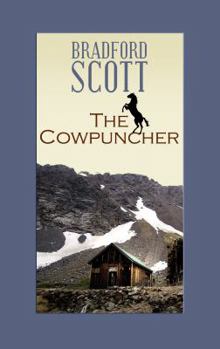 Hardcover The Cowpuncher [Large Print] Book