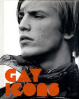 Hardcover Gay Icons Book