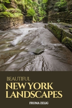 Paperback Beautiful New York Landscapes: An Adult Picture Book and Nature City Travel Photography Images with NO Text or Words for Seniors, The Elderly, Dement Book