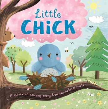 Board book Nature Stories: Little Chick-Discover an Amazing Story from the Natural World: Padded Board Book