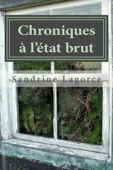 Paperback Chroniques à l'état brut [French] Book