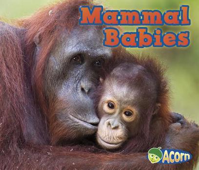 Mammal Babies - Book  of the Animal Babies