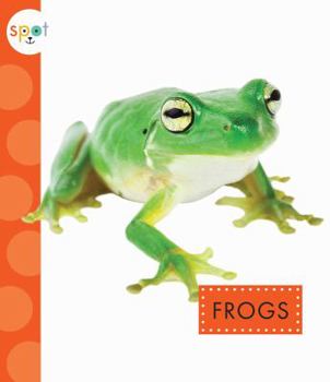 Paperback Frogs Book