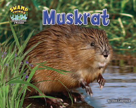 Muskrat - Book  of the Swamp Things: Animal Life in a Wetland