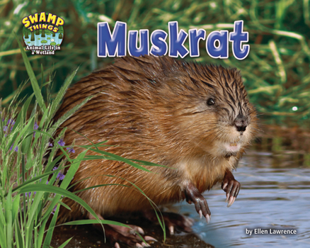 Paperback Muskrat Book