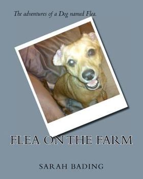 Paperback Flea on the Farm Book