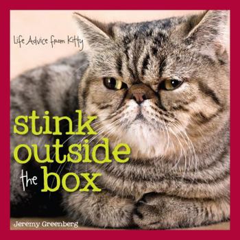Hardcover Stink Outside the Box: Life Advice from Kitty Book