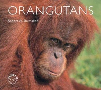 Paperback Orangutans Book