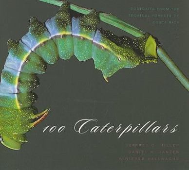 Paperback 100 Caterpillars: Portraits from the Tropical Forests of Costa Rica Book