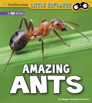 Hardcover Amazing Ants: A 4D Book