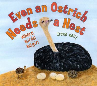 Library Binding Even an Ostrich Needs a Nest: Where Birds Begin Book