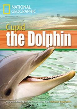 Paperback Cupid the Dolphin Book