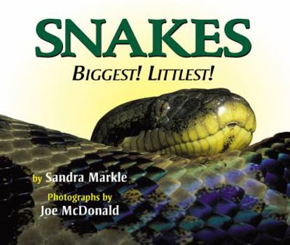 Hardcover Snakes: Biggest! Littlest! Book