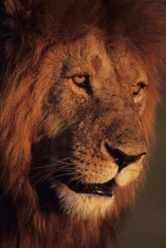 Paperback My Life, Feelings, and Thoughts Book