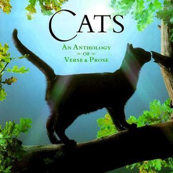 Hardcover Cats Book