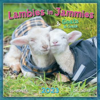 Lambies in Jammies 2023 Wall