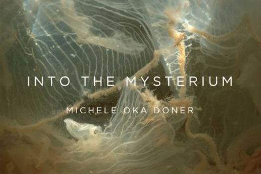 Paperback Into the Mysterium Book