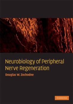 Hardcover Neurobiology of Peripheral Nerve Regeneration Book