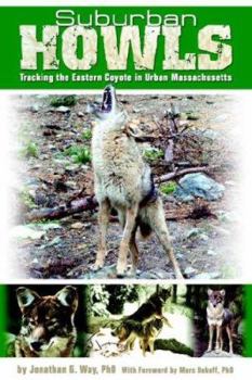 Paperback Suburban Howls: Tracking the Eastern Coyote in Urban Massachusetts Book