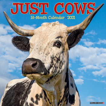 Calendar Just Cows 2021 Wall Calendar Book