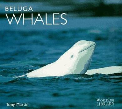 Paperback Beluga Whales Book