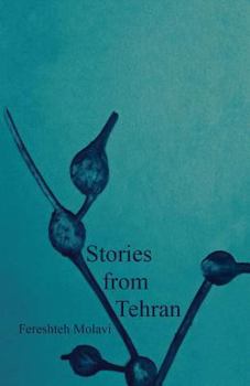 Paperback Stories from Tehran Book