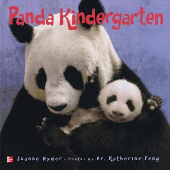 Spiral-bound Reading Wonders Literature Big Book: Panda Kindergarten Grade K Book