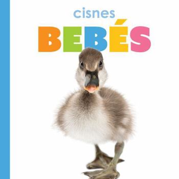 Paperback Cisnes Bebés [Spanish] Book